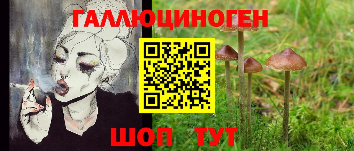 сколько стоит  Галлюциногенные грибы мухоморы  Сочи  Вход с VPN  Псилоцибиновые грибы мухоморы 