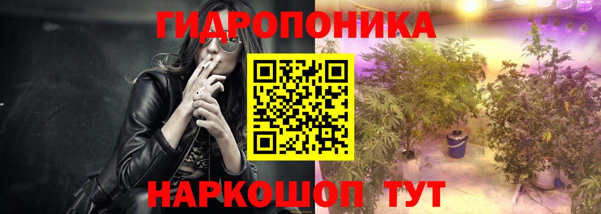 Канабис семена Сочи